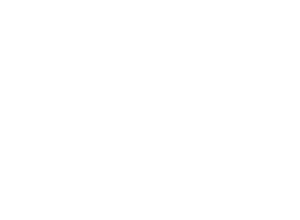 LOGO BASA